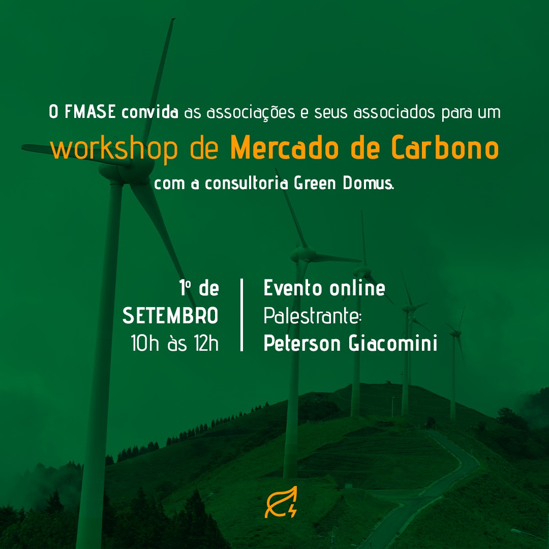 Workshop de Mercado de Carbono